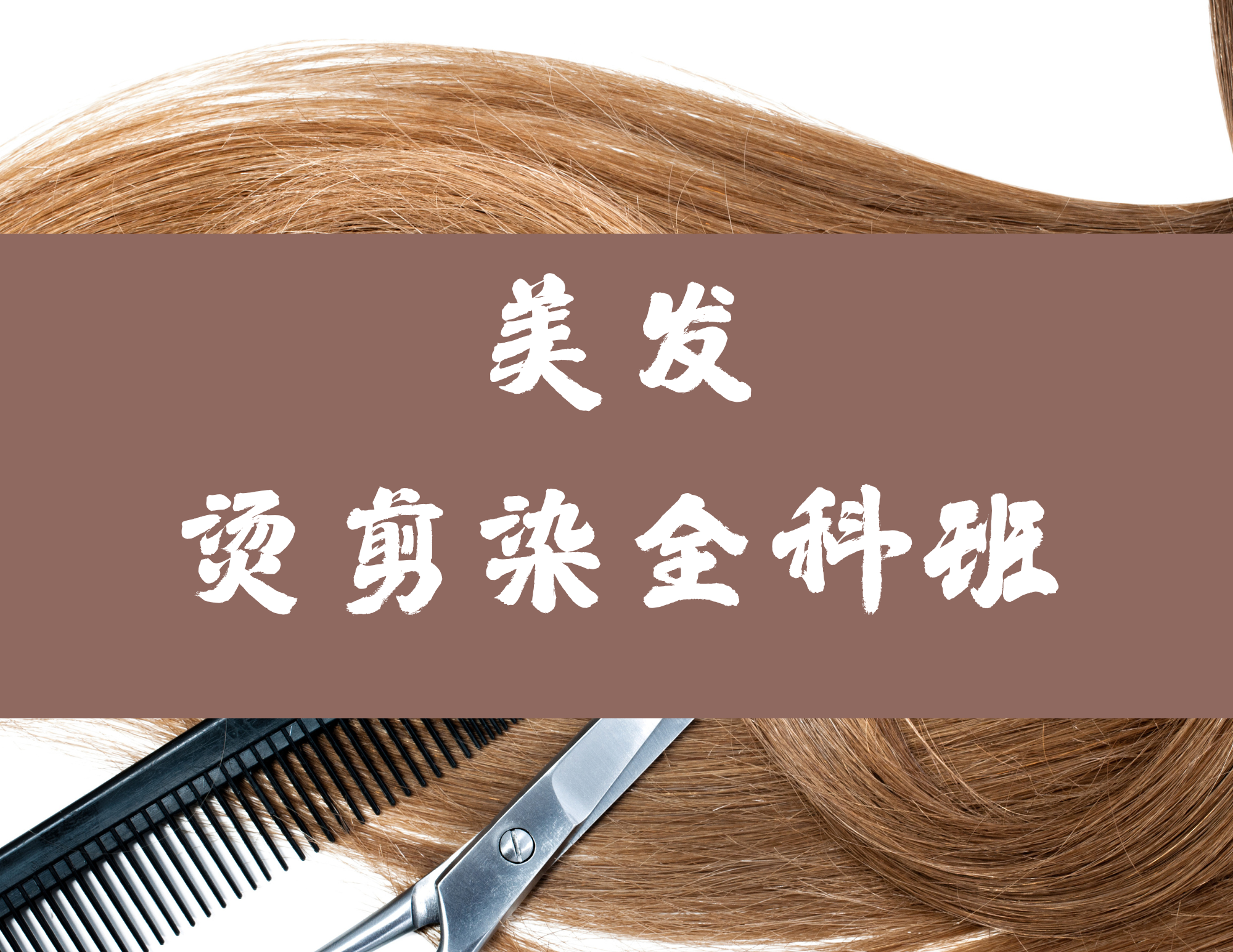 美发全科班